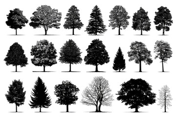 Grey-scale tree silhouettes, various shapes and sizes