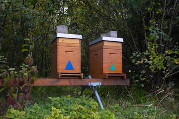 Two modern, square wooden beehives placed at the edge of a forest. Contemporary beekeeping concept