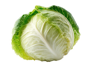 Fototapeta premium Close-up of a head of fresh cabbage. Firm, round head with tightly-packed, pale green and white leaves. Bright, vibrant green outer leaves