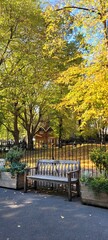 Obraz premium bench in the park