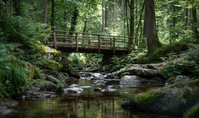 Wooden bridge over a stream in a lush green forest scene.