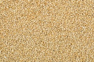 white quinoa seeds as a background. Top view. Flat lay