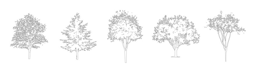 CAD Tree Line Drawing Set, Minimal Outline Trees for Architecture and Landscape plans