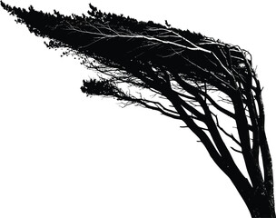 Windswept Tree Silhouette - Dramatic Black and White of Nature's Resilience Against Elements
