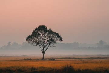 Fototapeta premium A solitary tree stands in a misty field at dawn, creating a serene and peaceful scene, with soft light illuminating the landscape and the distant horizon.