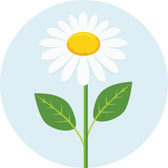 Illustration of a white daisy with a yellow center, green stem, and leaves, set against a light blue circle.