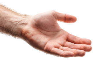 Close-up of an open male hand