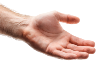 Close-up of an open male hand