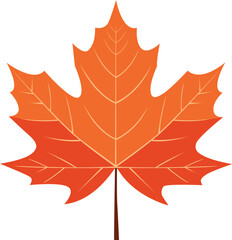 Isolated vector illustration of a vibrant orange maple leaf with detailed veins and a brown stem, set against a white background.