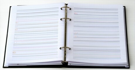 Open planner shows lined pages. Rings bind sections together. White paper contrasts dark cover. Simple organization tool.