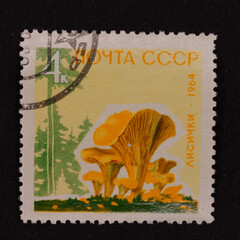 Soviet Postage Stamp with Chanterelle Mushrooms and Forest Scene, 1964