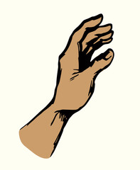 Young human hand. Vector drawing