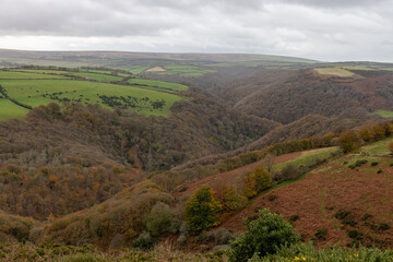 Naklejka premium View from the top of Countisbury Hill of the autumn colours at Watersmeet Valley in Exmoor National Park