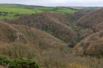 Naklejka premium View from the top of Countisbury Hill of the autumn colours at Watersmeet Valley in Exmoor National Park