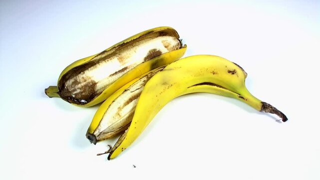 Avvizzire rapidi di banana matura