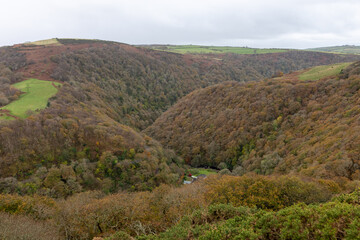 Fototapeta premium View from the top of Countisbury Hill of the autumn colours at Watersmeet Valley in Exmoor National Park