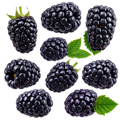 Collection of ripe, glistening blackberries, some with leaves, arranged on a transparent background