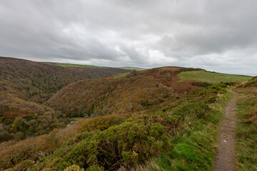 View from the top of Countisbury Hill of the autumn colours at Watersmeet Valley in Exmoor National Park