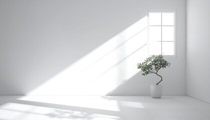 Obraz premium A serene interior scene showcases a minimalist aesthetic with a white room bathed in sunlight streaming through a window, highlighting a potted bonsai