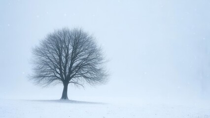 Fototapeta premium Solitary, leafless tree silhouetted against a snowy, foggy, and serene, atmospheric background
