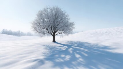 A solitary tree with snow-covered branches casts a long shadow on a pristine white landscape