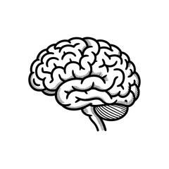 3d icon of stylized black and white illustration of a human brain with intricate details, representing thought and intellect isolated on transparent background