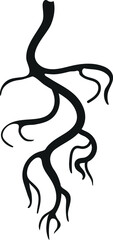 Black silhouette of root isolated on white background	