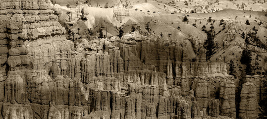 Rough Country Black and White