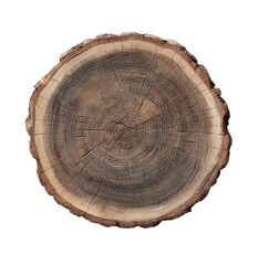 Obraz premium Close-up of a circular tree trunk cross-section. Detailed wood grain patterns and rings are visible