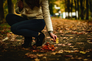 Woman picking up autumn leaves on a park path. Close-up view with colorful foliage and warm...