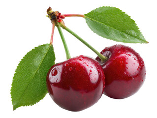 Close-up of two ripe cherries with leaves