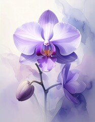 Nebelorchidee – geheimnisvolle Blüte im Dunst