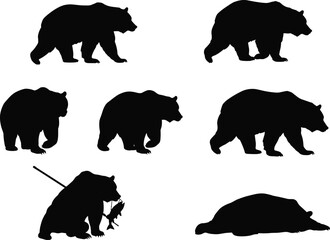 Bear silhouette illustration, walking bear poses, standing bear vector, sitting bear with fish, wildlife animal clipart, black bear artwork design