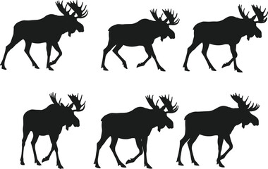 Moose silhouette illustration, walking moose vector, moose antlers artwork, wildlife animal clipart, forest mammal design, black moose drawing, nature artwork