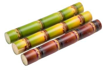 Three stalks of sugarcane isolated on transparent background