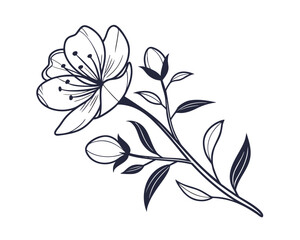 Elegant Floral Branch Illustration with Blooming Flower and Buds Line Art Design for Creative Projects
