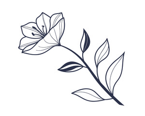 Elegant Floral Line Art Illustration of a Blooming Flower with Stem and Leaves on White Background Delicate Botanical Drawing