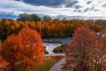 Fototapety na wymiar - Fototapeta24.pl