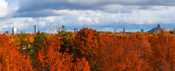 Fototapety na wymiar - Fototapeta24.pl