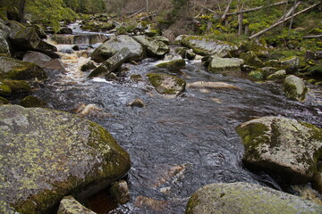 River Vydra in Bohemian Forest in Czech republic,Europe
