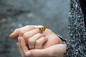 Butterfly on Human Hand in Mountain Nature – Symbol of Harmony and Fragility