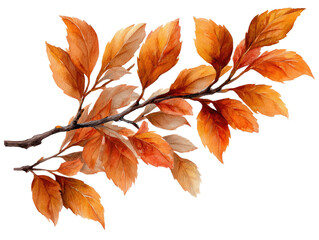 Naklejka premium Autumnal branch with vibrant orange-gold leaves