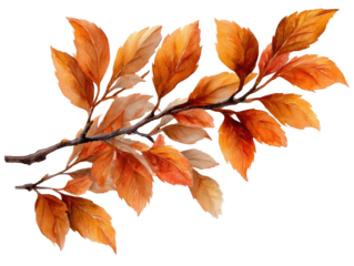 Autumnal branch with vibrant orange-gold leaves