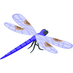 Blue Dragonfly With Transparent Wings And Brown Markings On A White Background Realistic Detailed Illustration