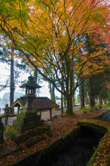 寺の紅葉（大分県竹田市）