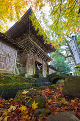 寺の紅葉（大分県竹田市）