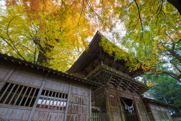 寺の紅葉（大分県竹田市）
