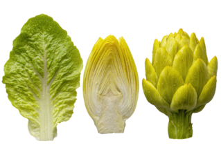 Close-up of three fresh, vibrant vegetables.  A crisp romaine lettuce leaf, a pale yellow artichoke heart, and a second artichoke flower bud are presented in a horizontal row