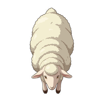 Sheep White Leaping Down Front Anime Cartoon