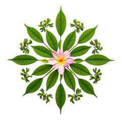 Mandala composed of pink flower and green leaves on black background.